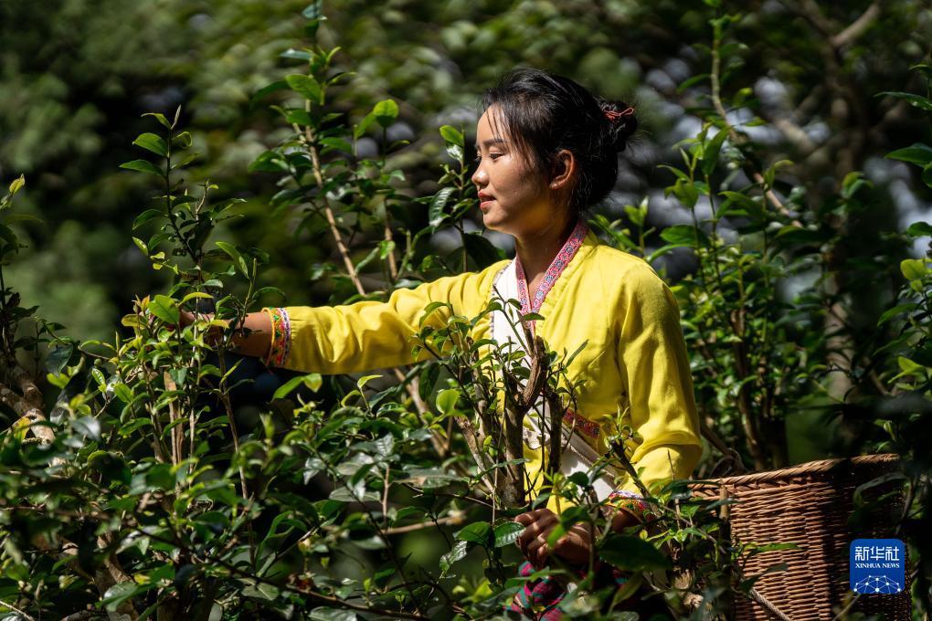 大红鹰游戏线路